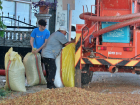 Karadeniz'de Yaz Aylar�nda Tar�msal Yaralanmalarda Art��