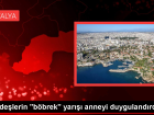 Karde�lerin 