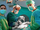 Kar�n a�r�s� �ikayetiyle doktora giden kad�n�n midesinden 158 adet metal ��kt�!