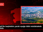 Karl�ova Devlet Hastanesi Ba�hekimi Yaral� E�e�e Yard�m Etti