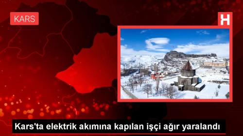 Kars'ta Elektrik Akmna Kaplan i Ar Yaraland