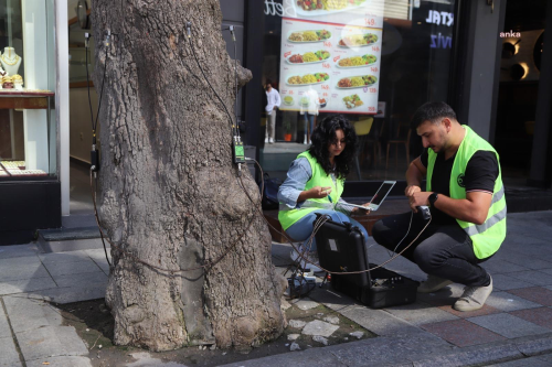 Kartal Belediyesi, Aalarn Salk Durumunu Akustik Tomografi Yntemiyle nceliyor