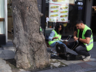 Kartal Belediyesi, Akustik Tomografi Y�ntemiyle A�a�lar�n Sa�l�k Durumunu �nceliyor