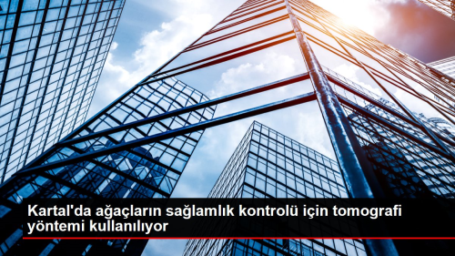 Kartal'da aalarn salamlk kontrol iin tomografi yntemi kullanlyor