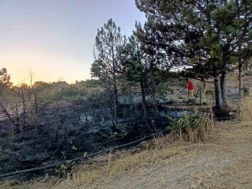 Kastamonu'da Alkol ielerinin Atld Arazide Yangn kt