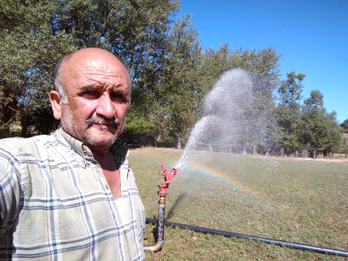 Kastamonu'da Domuz Avnda Kazara lm