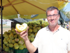 Kavun �ekirdekleri Takviye G�da ve Kozmetik �r�n� Olarak De�erlendirilecek