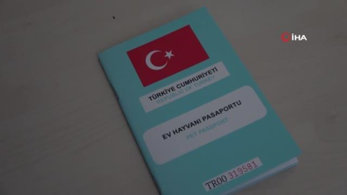 Kedi ve kpek sahipleri dikkat: Yasal sre 31 Aralk'ta doluyor