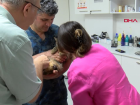 Kedinin arka ayaklarına implant protez yerleştirildi