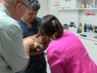 Kedinin arka ayaklarna implant protez yerletirildi