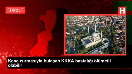 Kene srmasyla bulaan KKKA hastal lmcl olabilir