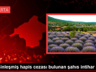 Kesinle�mi� hapis cezas� bulunan �ah�s intihar etti