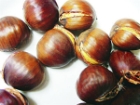 Kestane �la� Gibi!