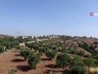 Kilis'te korana virüs vakaları tavan yaptı