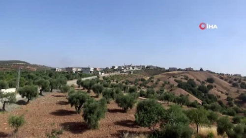 Kilis'te korana virs vakalar tavan yapt