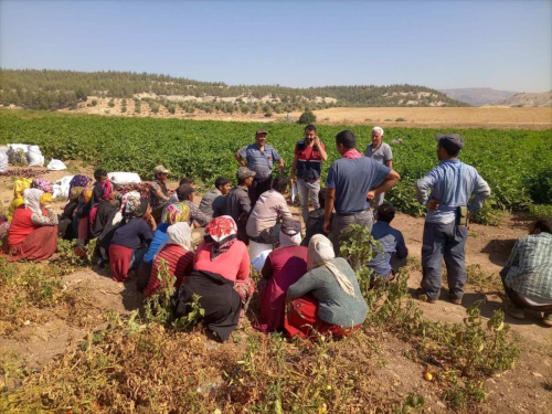 Kilis'te Narkotik ve Psikotrop Maddeyle M�cadele Devam Ediyor