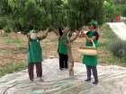 Kilosu alt�n gibi k�ymetli