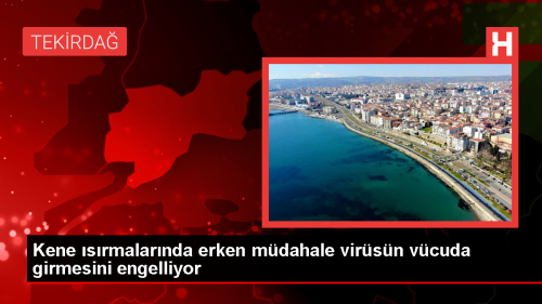 Krm Kongo Kanamal Atei hastalna kar uyar