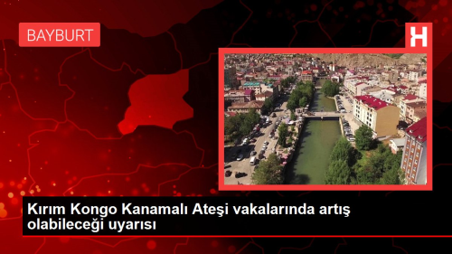 Krm Kongo Kanamal Atei vakalarnda art olabilecei uyars