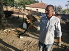 K�r�ehir'de Yaral� Saz Delicesi Ku�u Tedavi Alt�na Al�nd�