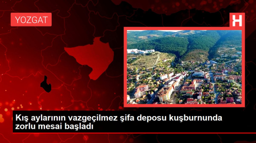 K aylarnn vazgeilmez ifa deposu kuburnunda zorlu mesai balad