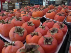 K�� mevsiminin g�zdesi cennet hurmas� v�cut direncini koruyor
