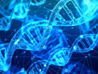 Kiiye zel diyet: DNA diyeti! DNA diyeti nedir?