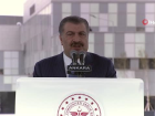 Koca: 