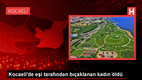 Kocaeli'de Kadn Cinayeti: Bir Kadn Ei Tarafndan Baklanarak ldrld