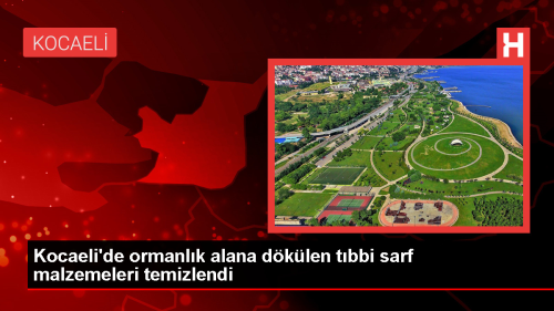 Kocaeli'de Ormanlk Alana Braklan Tbbi Sarf Malzemeleri Topland