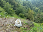 Kocaeli'de Ormanl�k Alana T�bbi Sarf Malzeme D�ken Firmaya Cezai ��lem Uyguland�