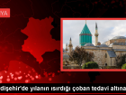 Konya'da Y�lan Is�rd��� �oban Hastaneye Kald�r�ld�