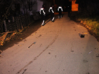 K�pek Kavgas� Keserle Devam Etti: 1 Ki�i Ba��ndan Yaraland�