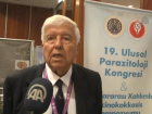 K�peklere �i� G�da Verilmesi Yasaklanmal�