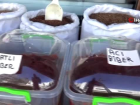 Korona vir�s Diyarbak�r'da tahin ve pekmez ile yo�urdun sat���n� artt�rd�