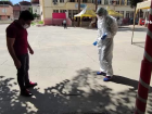 Korona vir�s taramas�nda y�lan pani�i