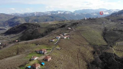 Samsun'da 2 mahalle karantinada