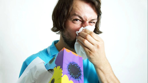 Koronavirs ile polen alerjisini nasl ayrt edebilirsiniz?