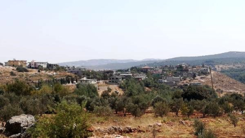 Koronavir�s testi pozitif ��kt�ktan sonra 2 d���ne kat�lan geline karantina alt�ndaki k�yl�leri sahip ��kt�