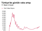 Koronavir�s: T�rkiye'de normalle�me ad�mlar�n�n ard�ndan pandemi nas�l bir seyir izledi?