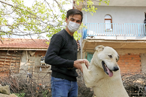 Kovid-19'u yenen gen�ten ya��tlar�na 