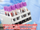 Kreatinin nedir? Kanda kreatinin d���kl��� ve y�ksekli�i neden olur?