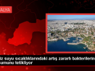 K�resel Is�nma Deniz Suyu S�cakl���n� Art�r�yor ve Bakteri Olu�umunu Tetikliyor