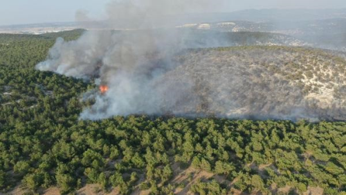 Ktahya'da Orman Yangn Kontrol Altna Alnd
