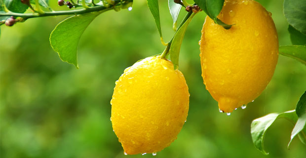 Limonun Mucizevi Yararlar