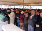 Maltepe'de Domuz Gribinden �l�m �ddias�