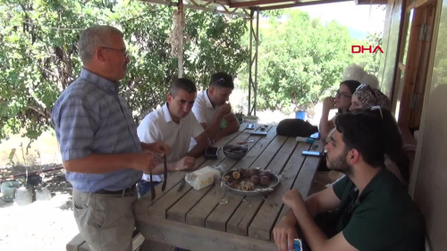 Manavgat'ta Keiboynuzu retimi