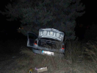 Manavgat'ta Otomobil And�z A�ac�na �arpt�, S�r�c� Yaraland�