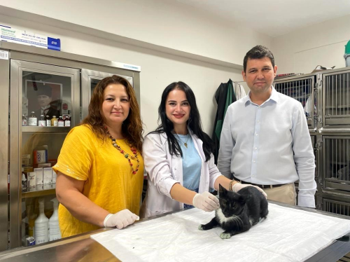 Manisa Büyükşehir Belediyesi Minik Patiler Kliniği'nde 2 Bin 253 Kedinin Tedavisi Gerçekleştirildi