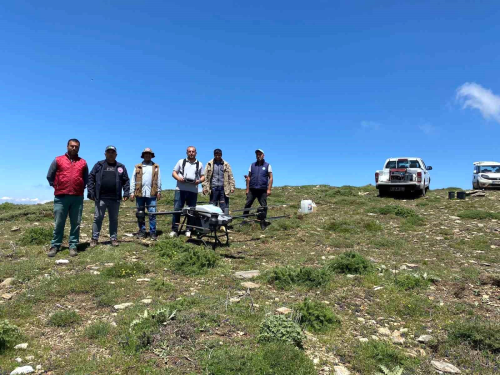 Manisa Bykehir Belediyesi, Salihli'de Drone ile ekirge lalamas Yapt